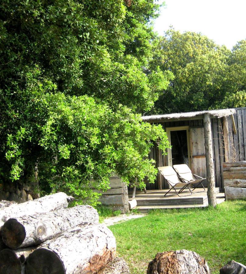Lodges En Provence - Ecogites & Restaurant Insolites Richerenches Exterior foto