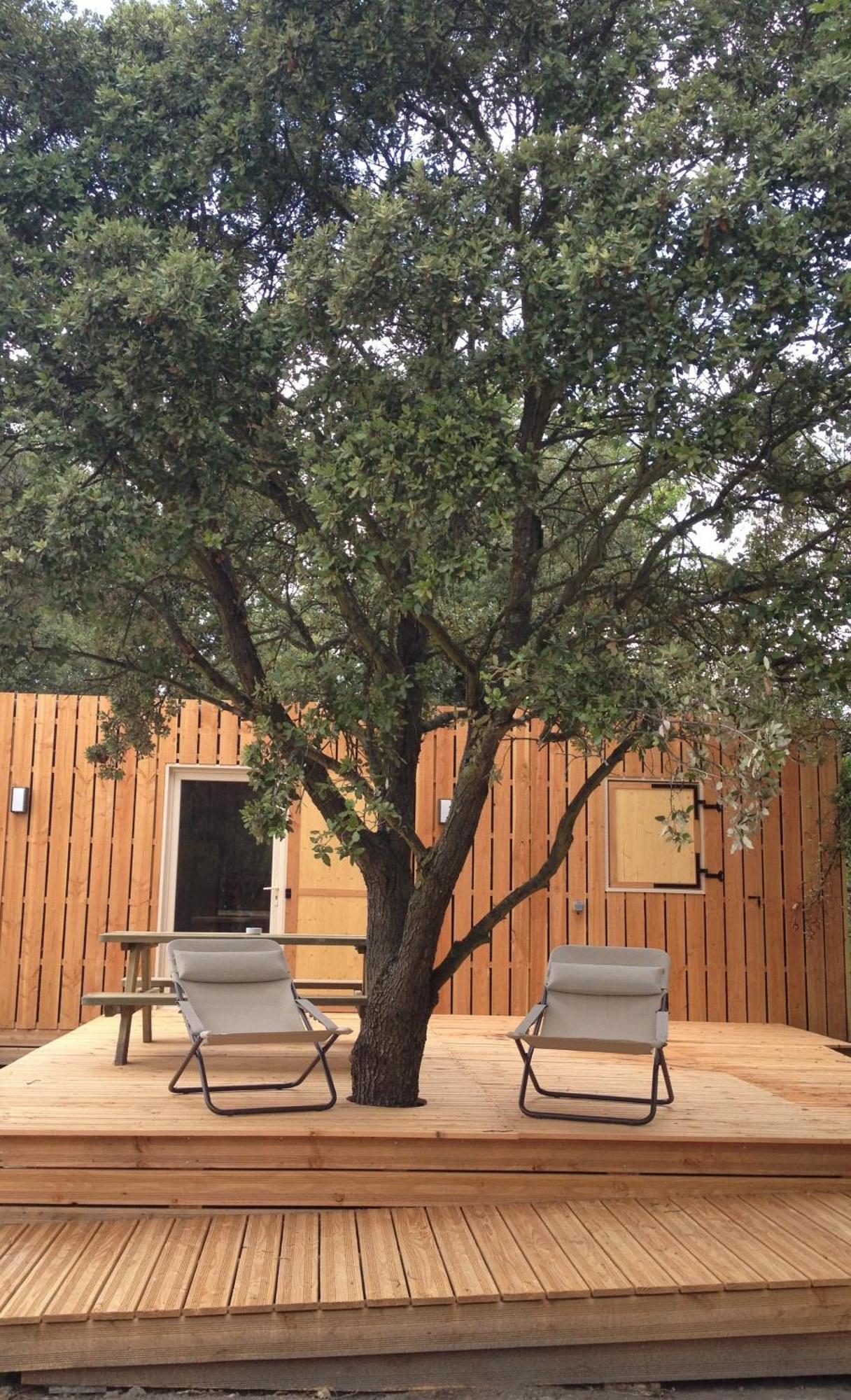 Lodges En Provence - Ecogites & Restaurant Insolites Richerenches Quarto foto